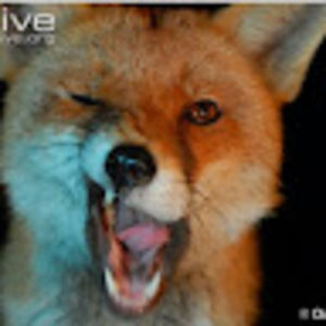 Meet your Posher, Charlotte